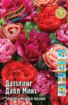 Тюльпан ДАЗЗЛИНГ ДАБЛ МИКС (kl7413п)