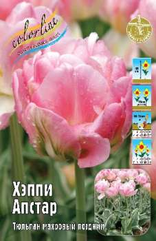 Тюльпан ХЭППИ АПСТАР (kl2454п)