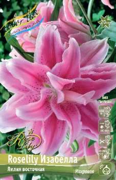 Лилия ИЗАБЕЛЛА ROSELILY 5шт
