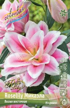 Лилия МИКАЭЛА ROSELILY 5шт