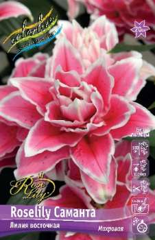 Лилия САМАНТА ROSELILY 5шт