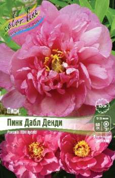 Пион Ито-Гибрид ПИНК ДАБЛ ДЕНДИ 2/3n