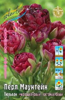 Тюльпан ПЕРЛ МАУНТЕЙН (кл11427п)